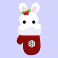 Cute baby holiday Christmas small white rabbit inside the mitten