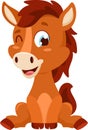 Cute Baby Horse Animal Cartoon Character