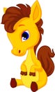 Cute baby horse cartoon Royalty Free Stock Photo