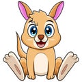 Cute baby kangaroo cartoon sitting