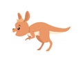 Cute Baby Kangaroo, Funny Brown Wallaby Australian Animal Character Jumping Vector Illustration Royalty Free Stock Photo
