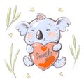 Cute baby Koala Bear holding red heart with word sweety, eucaliptus leaves