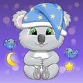Cute baby koala in the night hat with stars.