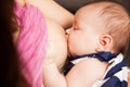 Cute baby latched to her mother's breast Royalty Free Stock Photo