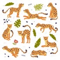 Cute baby leopards set. Adorable wild predator jungle animals in different poses cartoon vector illustration Royalty Free Stock Photo