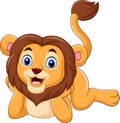 Cute baby lion cartoon Royalty Free Stock Photo