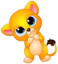 Cute baby lion cartoon Royalty Free Stock Photo