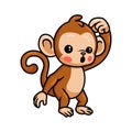 Cute baby monkey cartoon confused Royalty Free Stock Photo