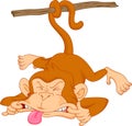 Cute baby monkey cartoon Royalty Free Stock Photo