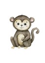 Cute baby monkey Hand drawn adorable watercolor african animals illustration on white background. Royalty Free Stock Photo