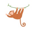 Cute baby monkey hanging on tree branch, swinging and waving with paw. Colored flat vector illustration of smiling and Royalty Free Stock Photo