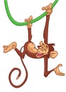 Cartoon funny monkey chimpanzee. Vector illustration isolated on white Royalty Free Stock Photo