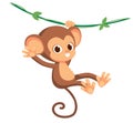 Cute baby monkey hanging on tree. A cute monkey swinging from vines