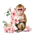 Cute baby monkey with pink flowers watercolor Illustration isolated on white. Generative AI Royalty Free Stock Photo