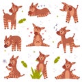 Cute baby okapi in different activities set. Curious wild African animal character cartoon vector illustration Royalty Free Stock Photo