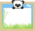 Cute baby panda and blank board