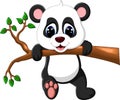 Cute baby panda cartoon