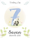 Cute baby Panda Baby Milestone Cards Cute Animals