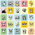 Cute baby pandas. Toy animals chinese symbols panda bear adorable funny baby mascot vector characters collection in