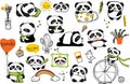 Cute baby pandas. Toy animals chinese symbols panda bear adorable funny baby mascot vector characters collection in