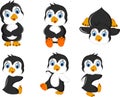 Cute baby penguin cartoon set character Royalty Free Stock Photo