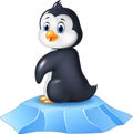 Cute baby penguin sitting on ice floe