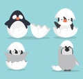 Cute Baby penguins hatched in egg vector Royalty Free Stock Photo