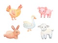 Cute baby piglet, lamb and chicken isolated on white. Watercolor farm animals set. Royalty Free Stock Photo