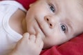 Cute baby portrait Royalty Free Stock Photo