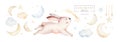 Cute baby rabbit animal dream illustration comet with gold stars in night sky, forest bunny illustration for children