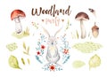 Cute baby rabbit animal nursery isolated illustration for children. Watercolor boho forest drawing, watercolour bunny