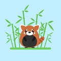 Cute baby red panda standing between the bamboo Royalty Free Stock Photo