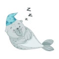 Cute baby seal sleeping wearing bonnet . Funny adorable arctic animal character cartoon vector illustration