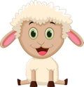 Cute baby sheep sitting Royalty Free Stock Photo