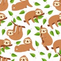 Cute baby sloth bear. Tropical bedroom vector seamless pattern