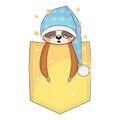 Cute baby sloth sleeping in pocket. Vector illustration.