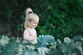 Cute Baby Stand In Organic Cabbage Garden Outside