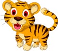 Cute baby tiger walking Royalty Free Stock Photo