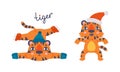 Cute baby tigers set. Funny orange striped jungle wildcat character in winter activities. Happy New Year cartoon vector Royalty Free Stock Photo