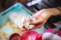 Cute Baby Tricolor Female Exotic Winter White Dwarf Hamster lying comfortably in owner palm hand in the cage. Winter White Hamster