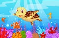 Cute baby turtle cartoon with collection fish