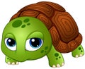 Cute baby turtle cartoon Royalty Free Stock Photo