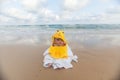 Cute baby wearing a yellow duck cartoon bathrobe sitting and playing on the beach near the sea Royalty Free Stock Photo