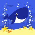 Cute little baby whale under the sea Royalty Free Stock Photo