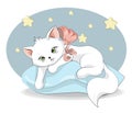 White cat on pillow