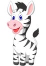 Cute baby zebra cartoon