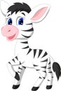 Cute baby zebra cartoon