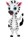 Cute baby zebra cartoon