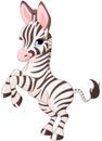 Cute baby zebra Royalty Free Stock Photo