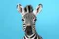 Cute Baby Zebra Portrait in Vibrant Minimalist Studio. Generative AI illustration